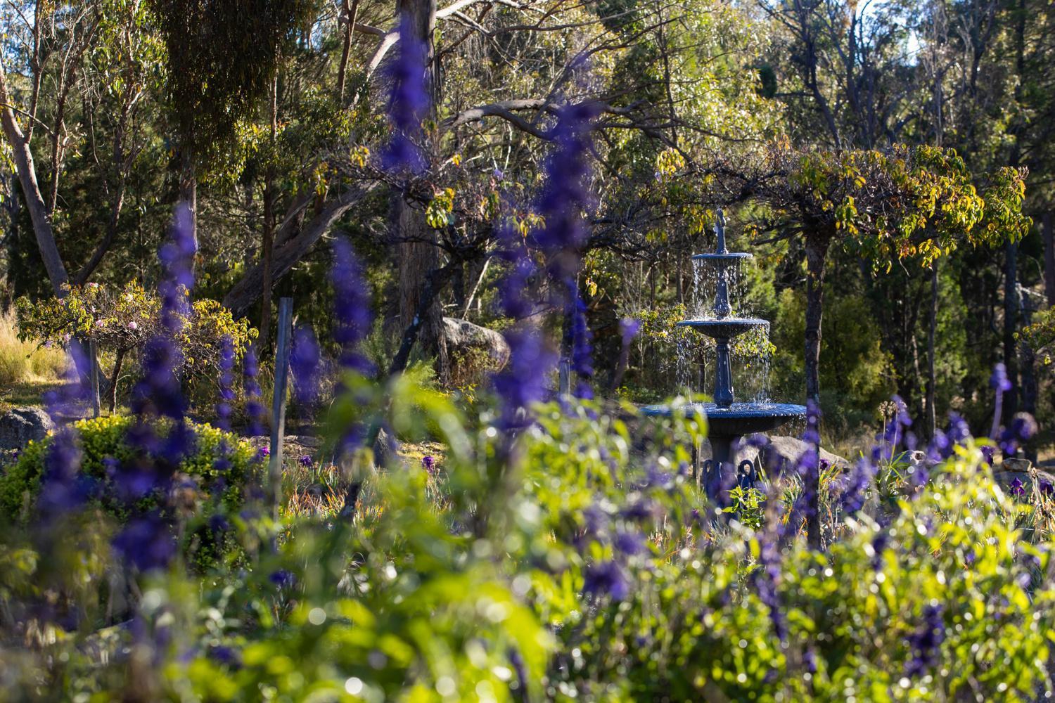 Girraween Country Inn Ballandean 外观 照片